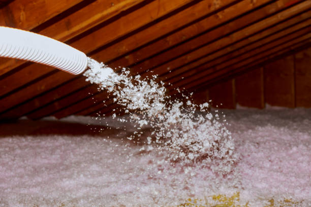 Best Fiberglass Insulation in Lowes Island, VA